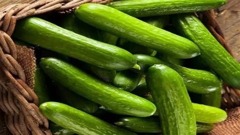 تفسير رؤية الخيار