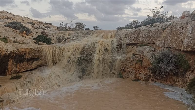 أمطار مطروح، فيتو