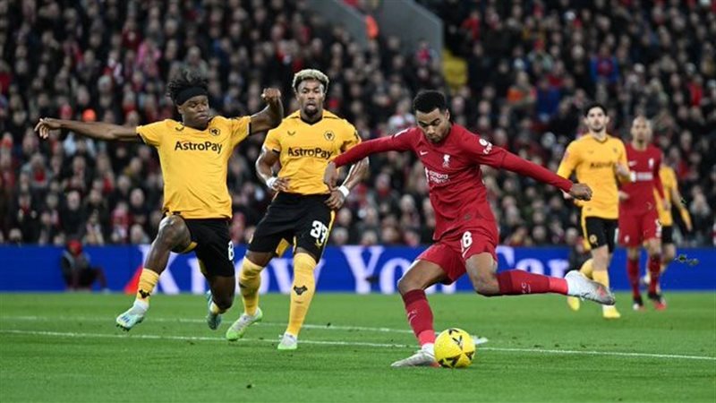 ليفربول ضد وولفرهامبتون،