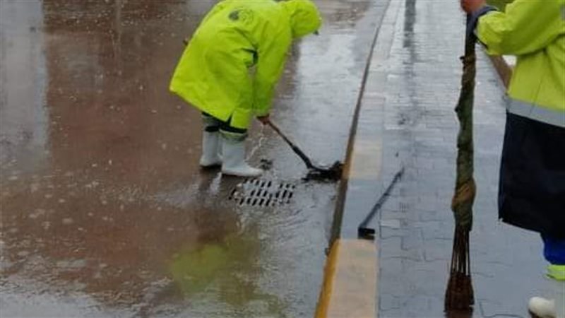 محافظه الاسكندريه،فيتو