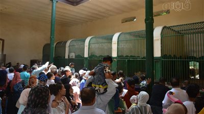 الزراعة: إغلاق حديقتي الحيوان والأورمان لمدة عام