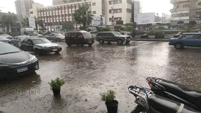 أمطار غزيرة بالشرقية،فيتو
