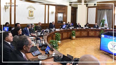 قرارات مجلس الوزراء الجديدة بخصوص ترشيد الإنفاق الحكومي (إنفوجراف)