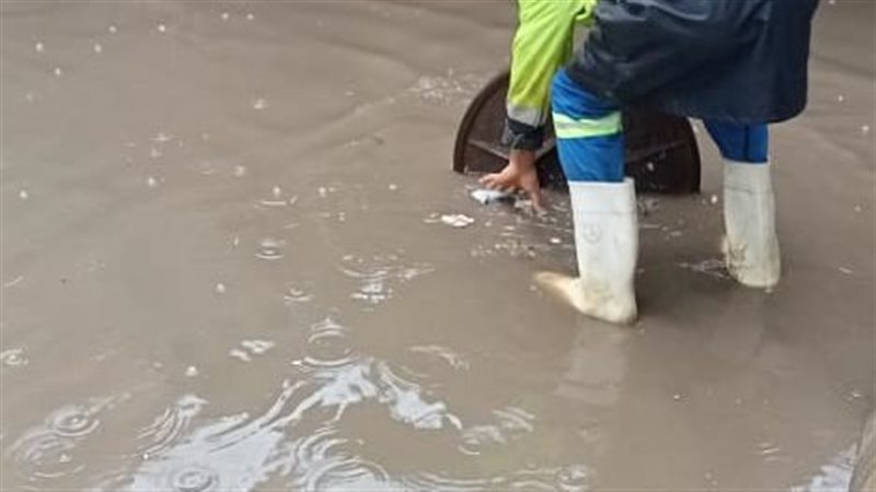 أمطار رعدية، فيتو