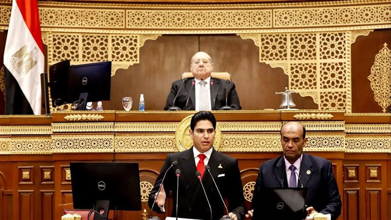 مجلس الشيوخ، فيتو