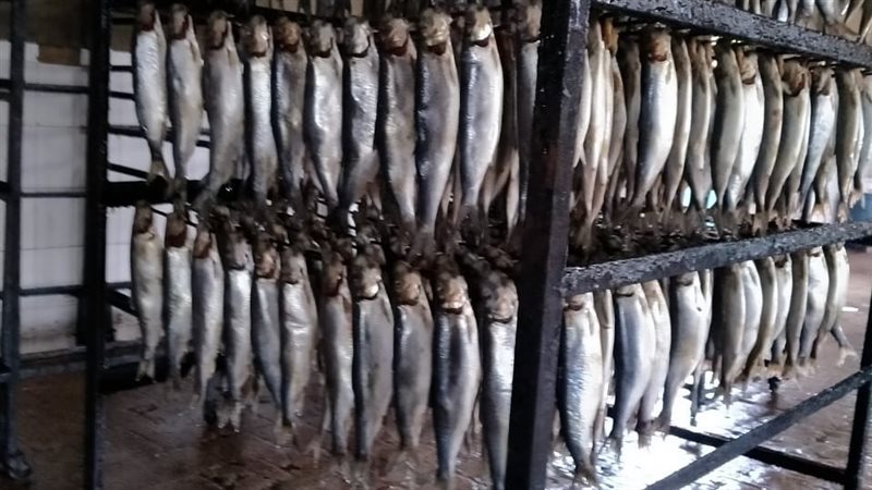 محافظ الغربية يتابع