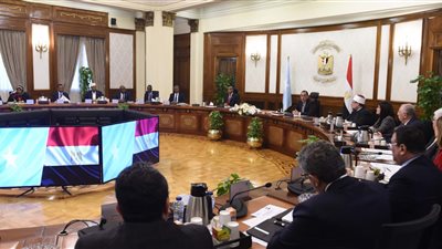 رئيس وزراء الصومال: لدينا ثروة حيوانية تقدر بـ 40 مليون ونتطلع للتعاون مع مصر 
