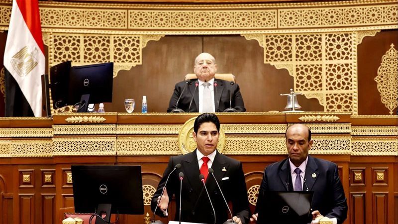 مجلس الشيوخ، فيتو