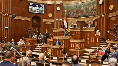 التشكيل الكامل للجنة القيم بمجلس الشيوخ 