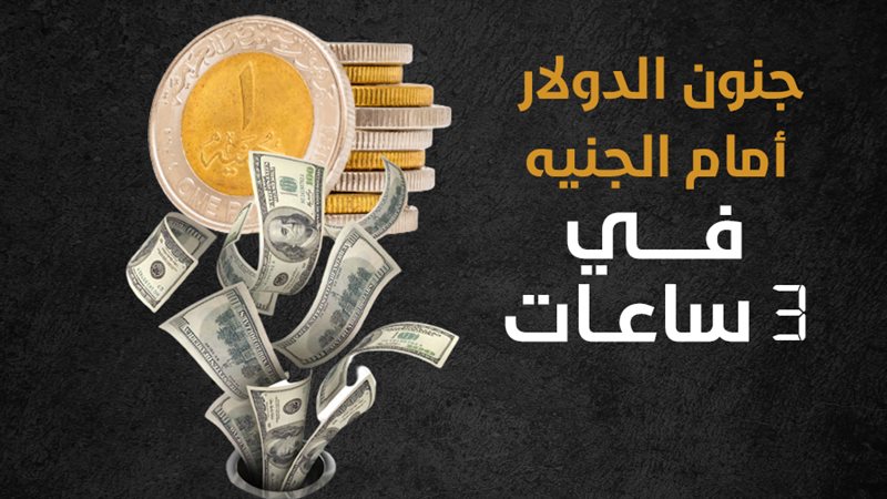الدولار 