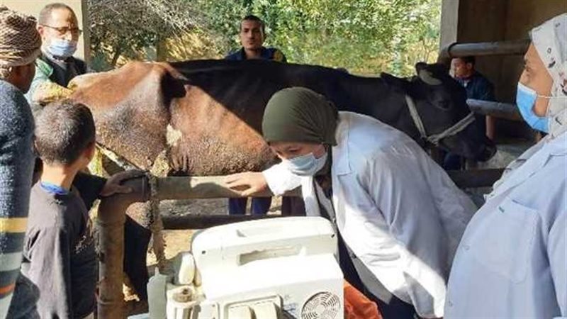 بيطري الشرقية