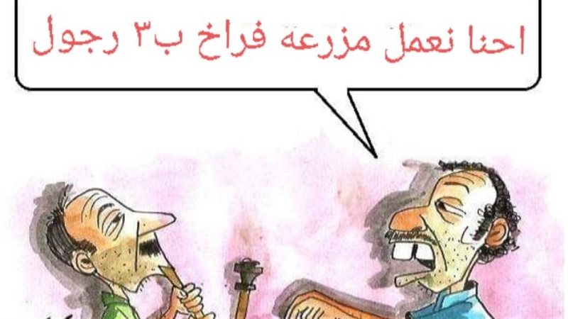  ارجل الفراخ في كاريكاتير،