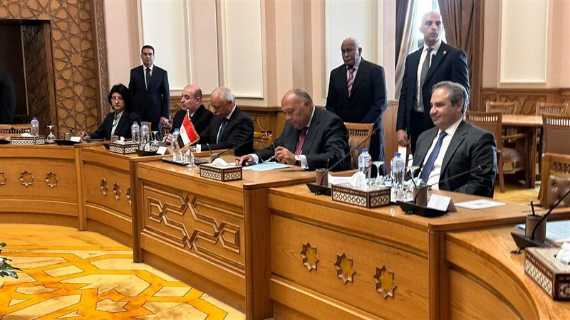 وزير الخارجية المصري
