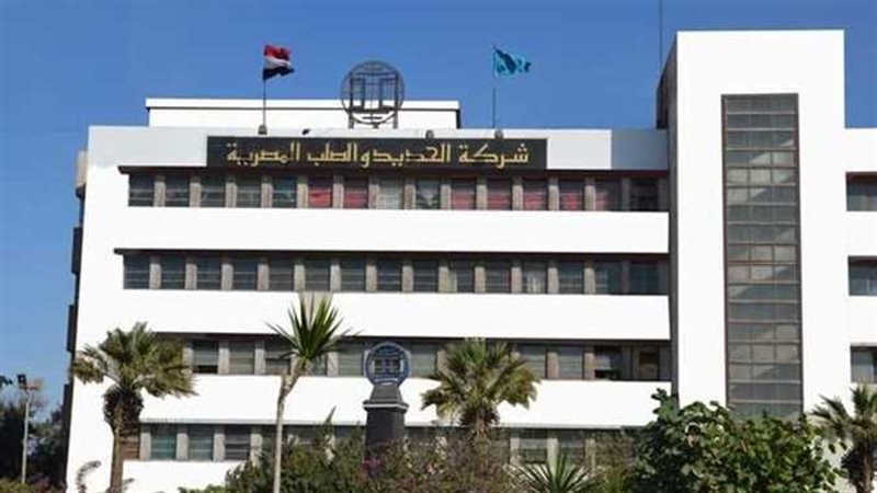 شركة الحديد والصلب