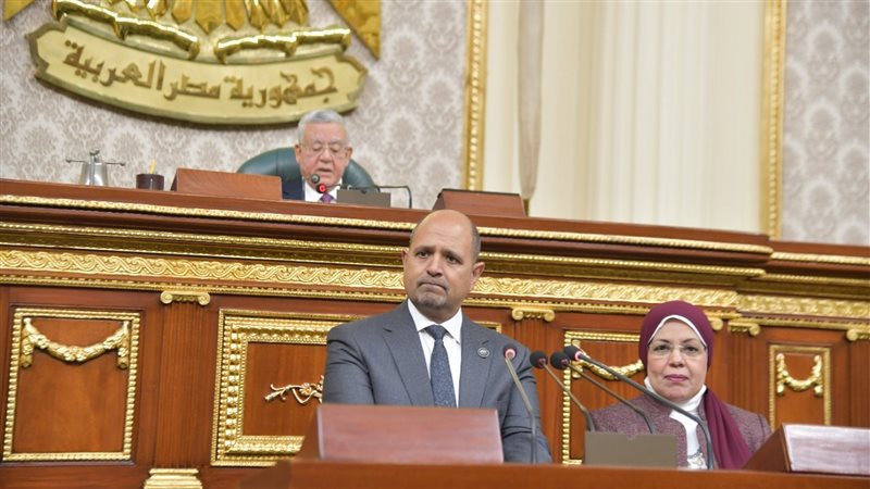مجلس النواب اليوم،فيتو