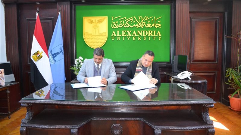 جامعة الإسكندرية،