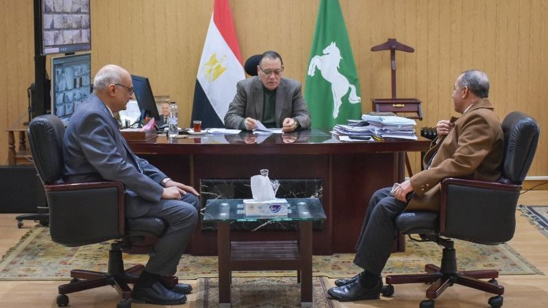المحافظ ودياب،فيتو