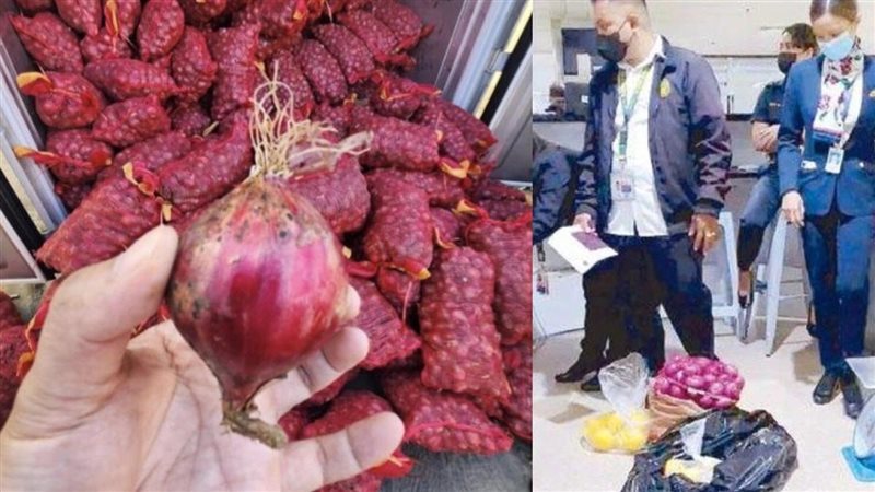 التحقيق مع 10 مضيفات