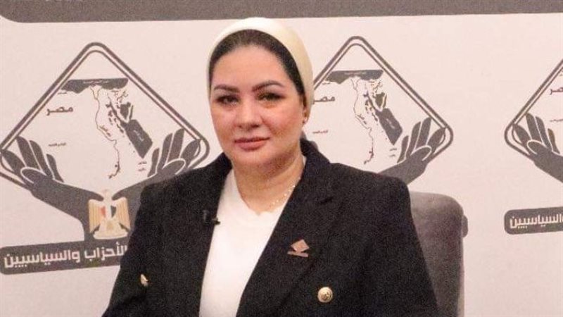 شيرين فتحى، مستشار