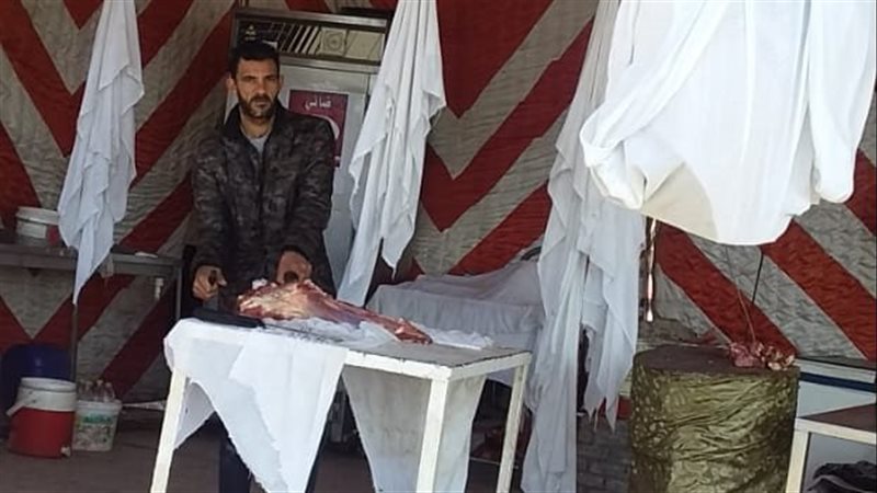 حملة تفتيش، فيتو