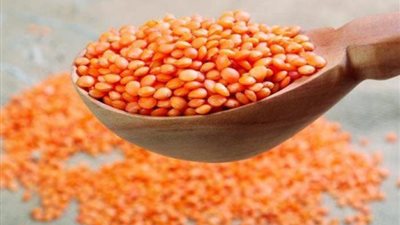 سعر كيلو العدس، تعرف على أسعار العدس اليوم الاثنين 13-3-2023 في الأسواق