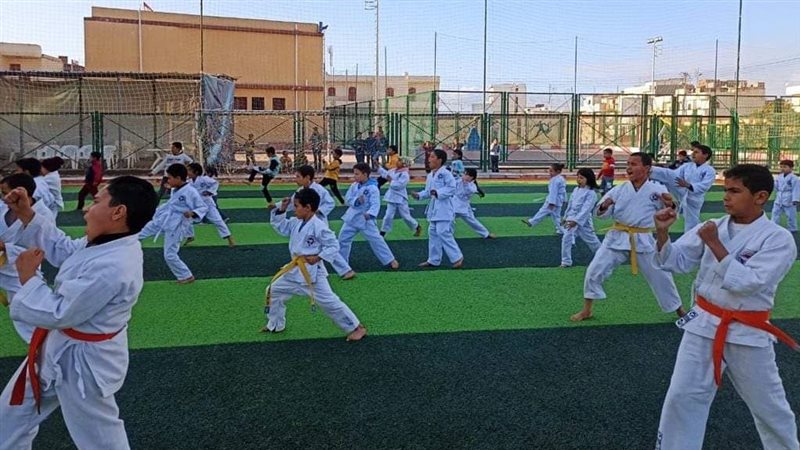 المشروع القوي ضمن