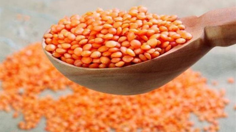 أسعار العدس اليوم،