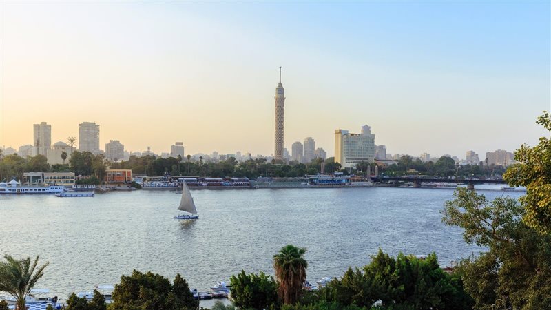 حالة الطقس، فيتو