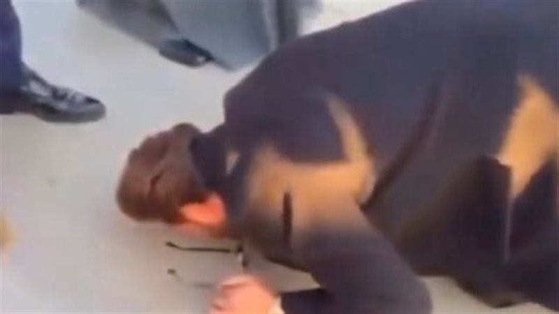 ماجد المهندس، فيتو