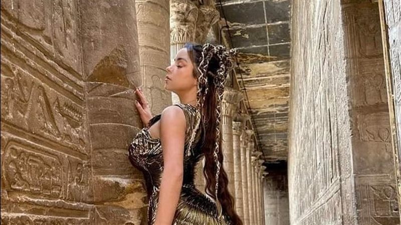 ديمي روز، فيتو