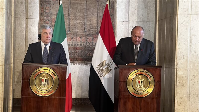 سامح شكرى وزير الخارجية