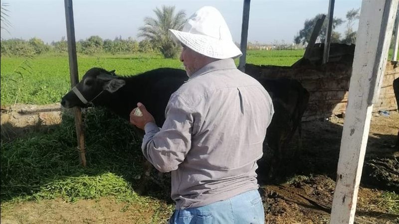 جانب من فعاليات حملة