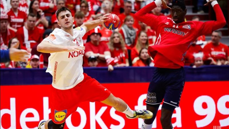 منتخب الدنمارك لكرة