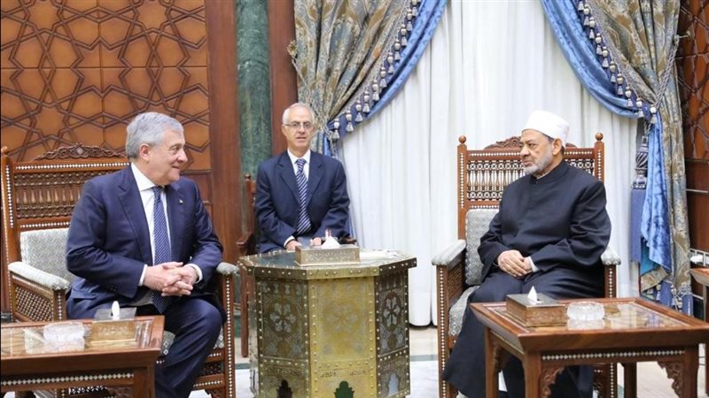 لقاء شيخ الأزهر مع