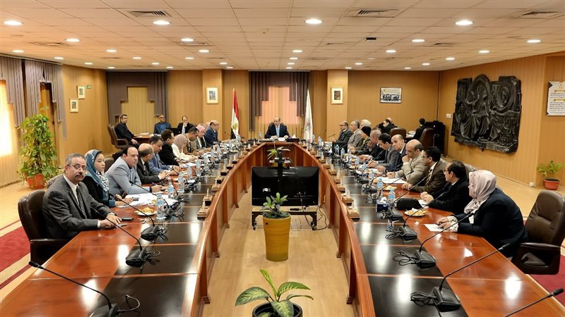 مجلس جامعة المنصورة،