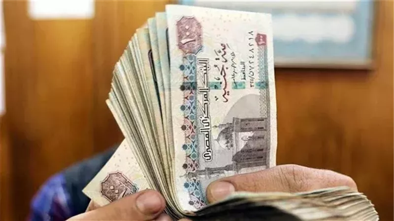 موعد زيادة المعاشات