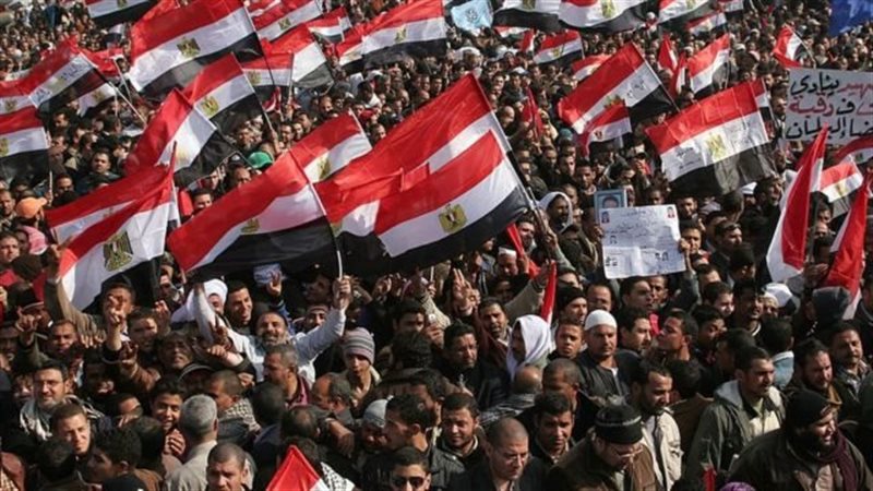 ثورة ٢٥ يناير، فيتو