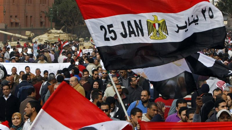 ثورة يناير، فيتو