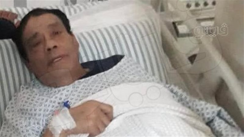 حلمي بكر، فيتو 