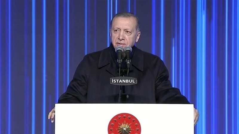 أردوغان، فيتو