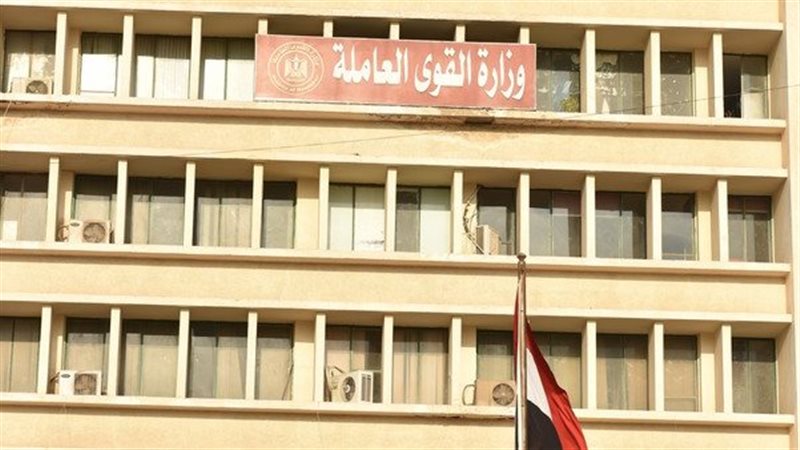 وزارة القوى العاملة،