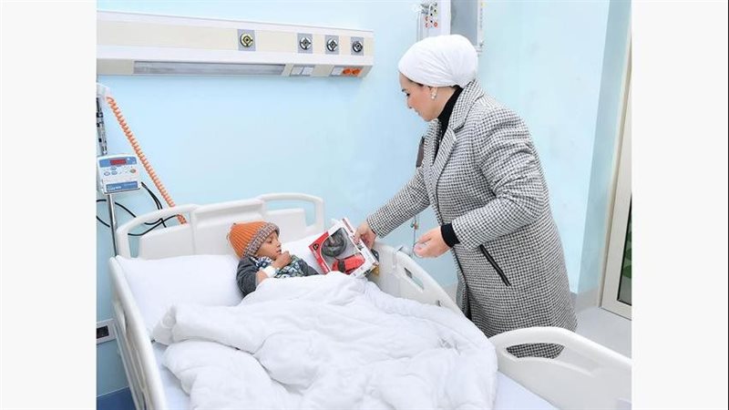 السيدة انتصار السيسي