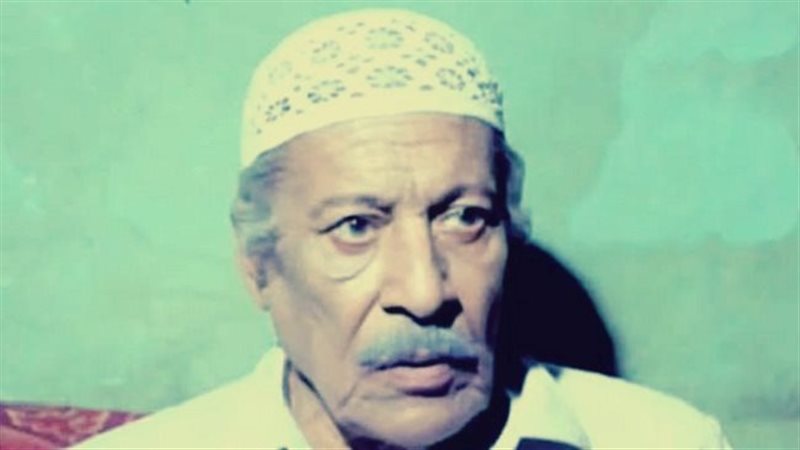 الفنان عماد حمدى