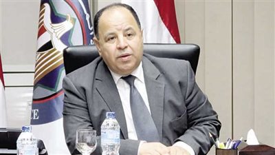 وزير المالية يكشف مزايا المشاركة مع القطاع الخاص.. اكتساب الخبرات وتعزيز جهود تمويل التنمية 