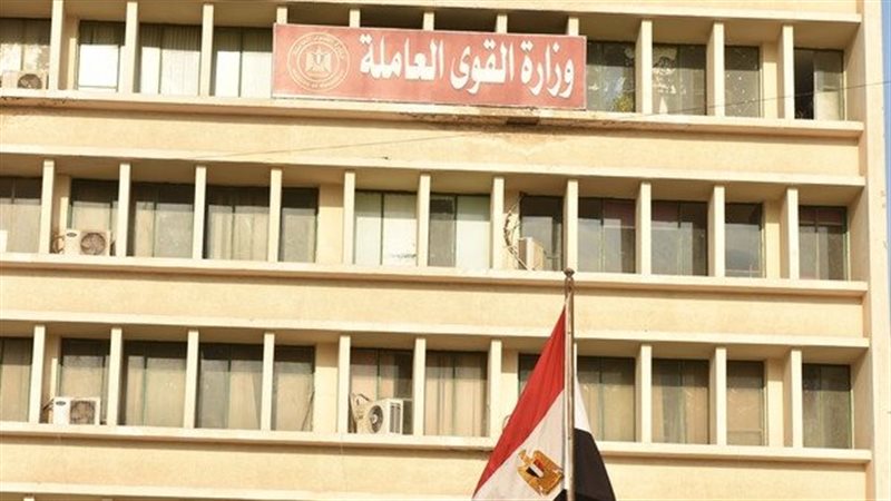 وزارة القوى العاملة،