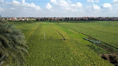 حالة الطقس الإثنين 30-1-2023 في المنوفية