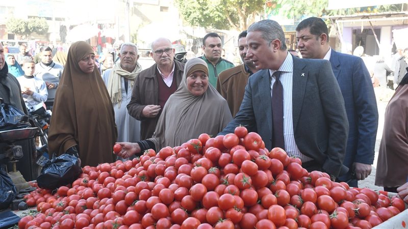 محافظ الفيوم يتفقد