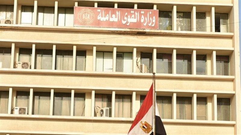 وزارة القوى العاملة،