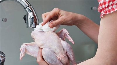 txt