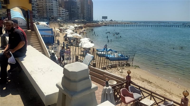 الاسكندريه